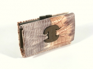Кошелёк женский Bristan Wero(W361-1780 brown) 