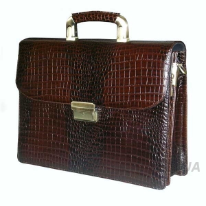 Кожаный женский портфель SB 1995 (621327)
